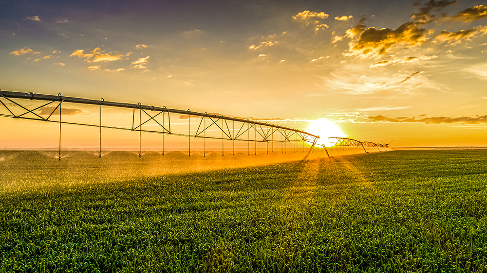 sustainable farming techniques with community