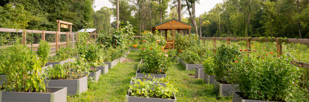 Lush community garden with diverse plants and people gardening