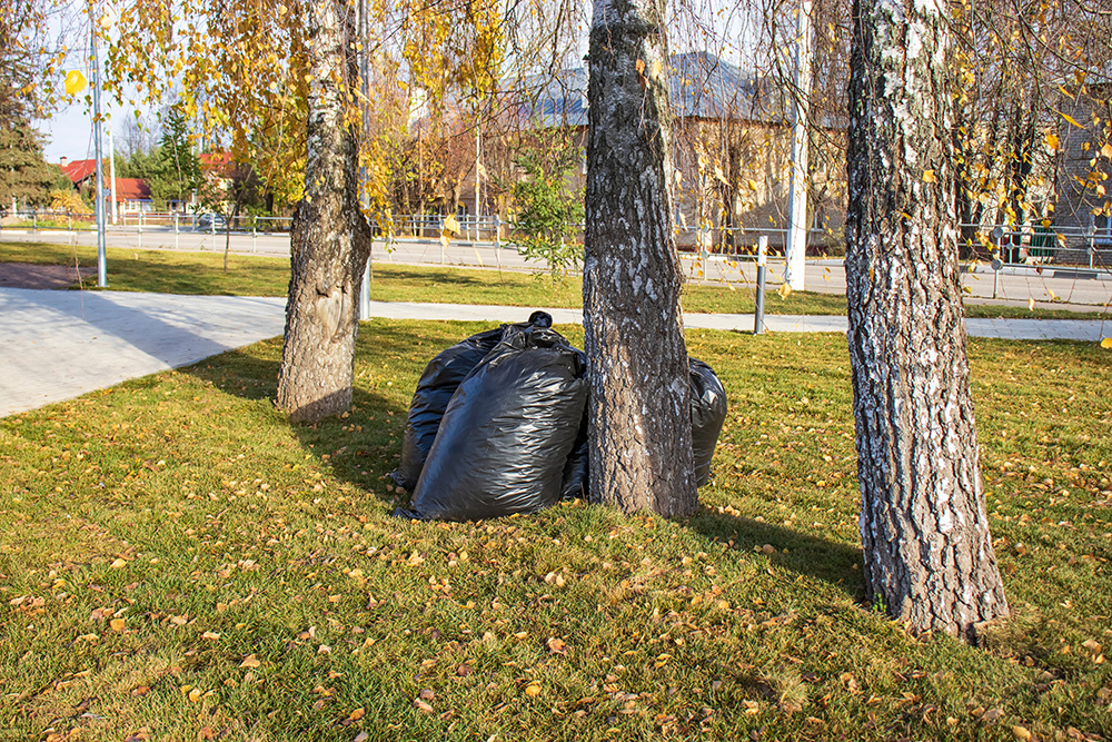 Black bin bags filled with litter collected from a community park.