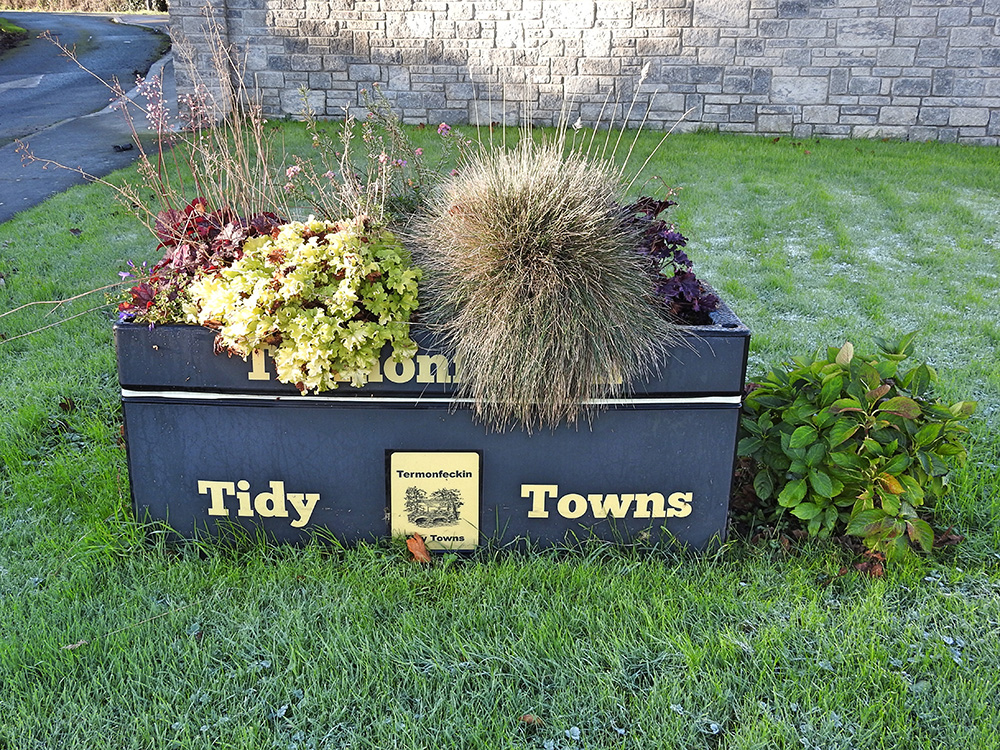 Tidy Towns 2022" inscribed on a raised bed plant pot brimming with vibrant flowers.