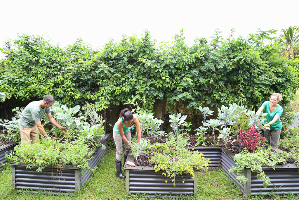 A group of community members participating in The Timebank Meitheal, working together on yard maintenance and various gardening tasks in Ireland.