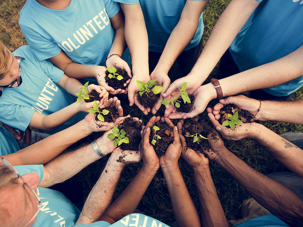 Volunteers tending to a garden during Volunteer Week